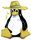 [Penguin with a straw hat]